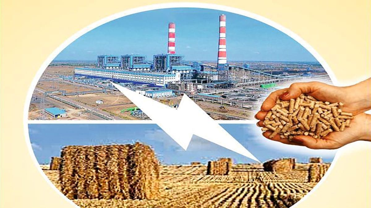Thermal Power Plant