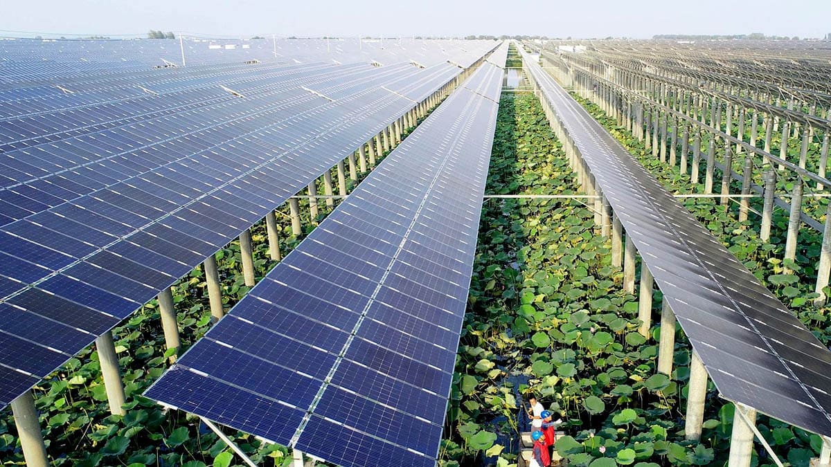 solar power