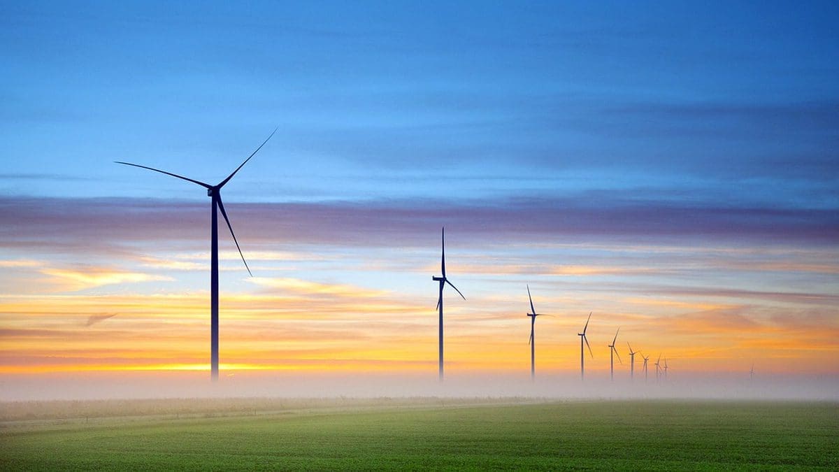 Renewable Energy
